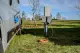 Brennenstuhl 1167650503 #6