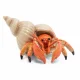 Papo Hermit crab #4