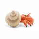 Papo Hermit crab #2