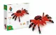 Alexander Toys ORIGAMI 3D - Spider #2