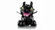 LEGO ICONS How to Train Your Dragon: Toothless #4