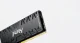 Kingston Technology FURY Renegade #20