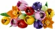 LEGO Botanicals Tulip Bouquet #3