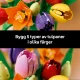 LEGO Botanicals Tulip Bouquet #6