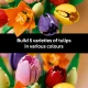 LEGO Botanicals Tulip Bouquet #14