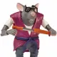 Teenage Mutant Ninja Turtles Splinter #5