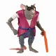 Teenage Mutant Ninja Turtles Splinter #3