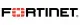 Fortinet FortiGate-VM04