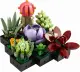 LEGO Botanicals Succulents #2