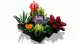 LEGO Botanicals Succulents #3