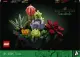 LEGO Botanicals Succulents