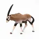 Papo Oryx Antelope #7