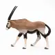 Papo Oryx Antelope #8