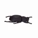 Mojo Fun Insects and Spider set 12pcs #36