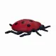Mojo Fun Insects and Spider set 12pcs #19