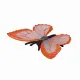 Mojo Fun Insects and Spider set 12pcs #20