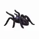 Mojo Fun Insects and Spider set 12pcs #15