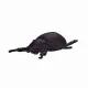 Mojo Fun Insects and Spider set 12pcs #37