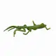 Mojo Fun Insects and Spider set 12pcs #33