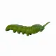Mojo Fun Insects and Spider set 12pcs #29