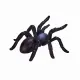 Mojo Fun Insects and Spider set 12pcs #16