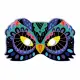 JANOD 11 Pretty Decorations Multi-Activity Box Set #3