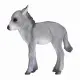 Mojo Fun Donkey Foal #5