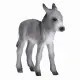 Mojo Fun Donkey Foal #4