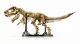 LEGO Jurassic World Dinosaur Fossils: Tyrannosaurus rex #4