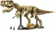LEGO Jurassic World Dinosaur Fossils: Tyrannosaurus rex #2