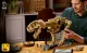 LEGO Jurassic World Dinosaur Fossils: Tyrannosaurus rex #7