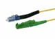 Synergy 21 S217846