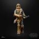 Hasbro Star Wars Chewbacca #10