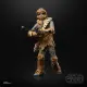 Hasbro Star Wars Chewbacca #13