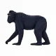 Mojo Fun Black Crested Macaque #7