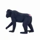 Mojo Fun Black Crested Macaque