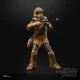 Hasbro Star Wars Chewbacca #8