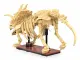 Jamara CaDA Triceratops Bricks #2