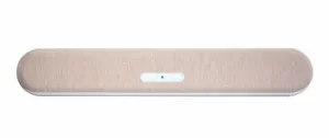 Bluesound Pulse Cinema Mini