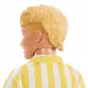 Barbie Fashionistas JJN66 #4