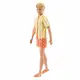 Barbie Fashionistas JJN66