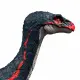 Mattel Jurassic World JCG17 #5