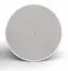 Bose DesignMax DM6C