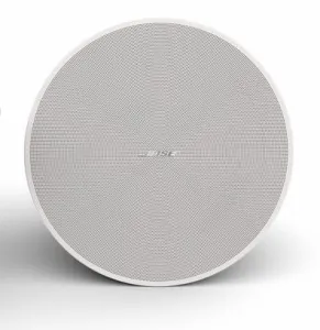 Bose DesignMax DM6C