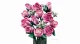 LEGO Botanicals Bouquet of Pink Roses #3