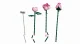 LEGO Botanicals Bouquet of Pink Roses #4