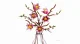 LEGO Botanicals 11510 #5