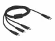 DeLOCK 87149