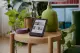 Rakuten Kobo Clara Colour #6