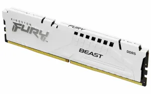 Kingston Technology FURY Beast